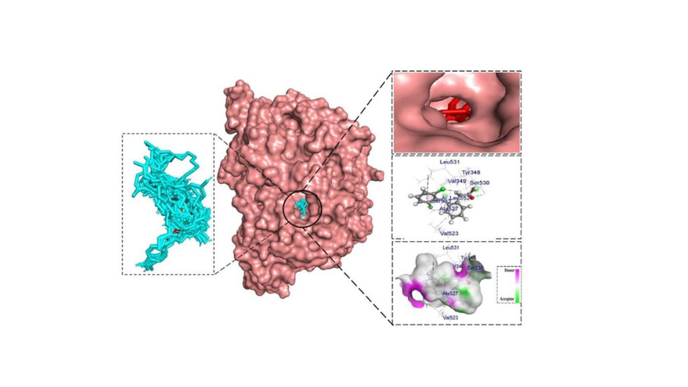 Advanced Computer-Aided Drug Design Service