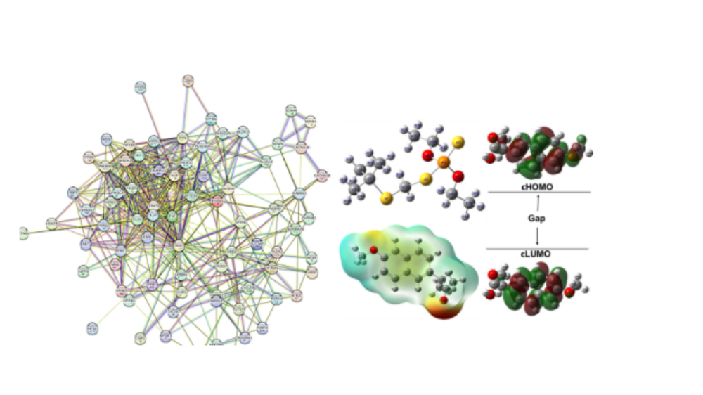 Advanced Computer-Aided Drug Design Service